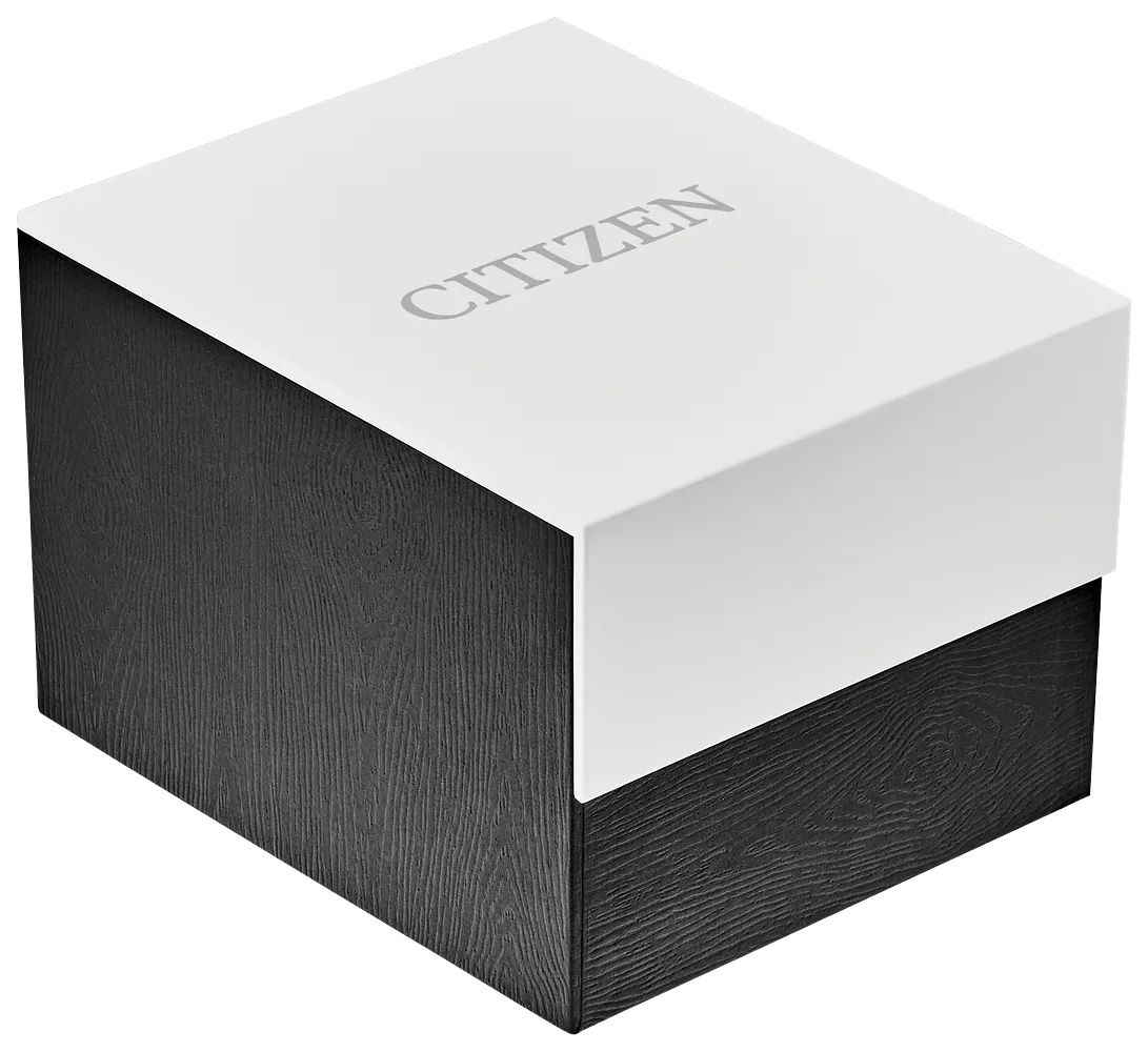 CITIZEN Quartz Ladies Watch EQ2002-91P